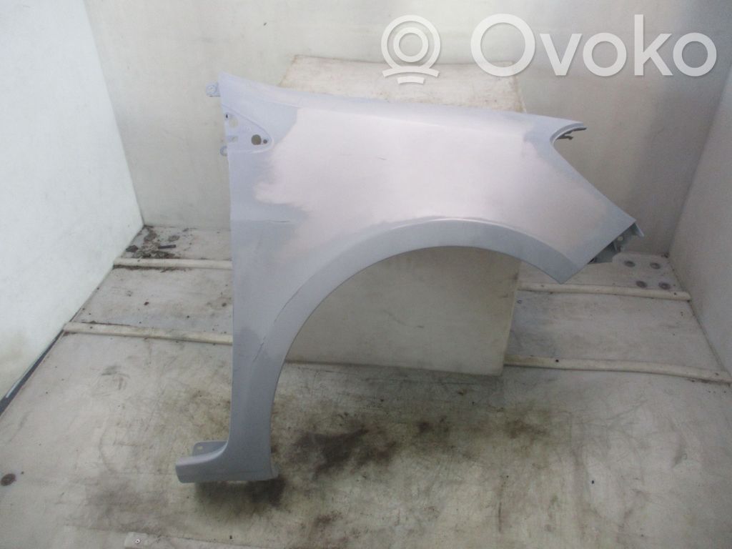 Renault Clio III Fender 