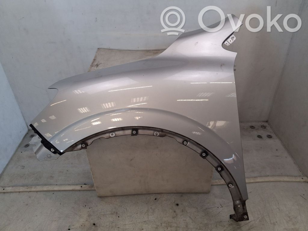 Guardabarro   631013206R,22602992,41316065,VDMS4
