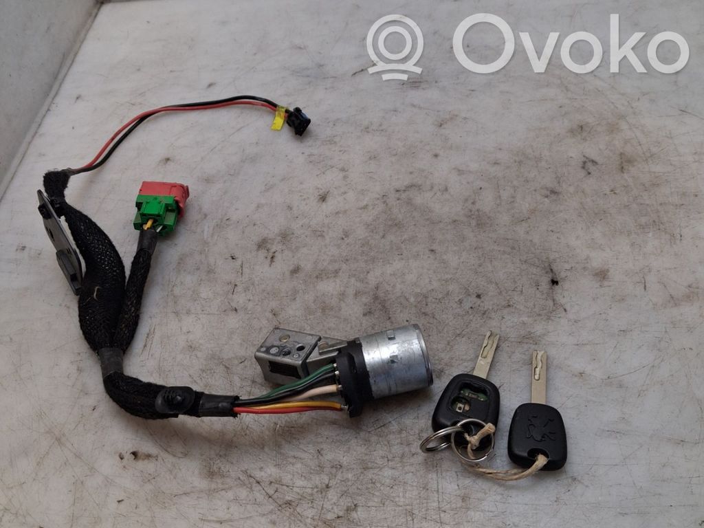 Peugeot 307 Blocchetto accensione