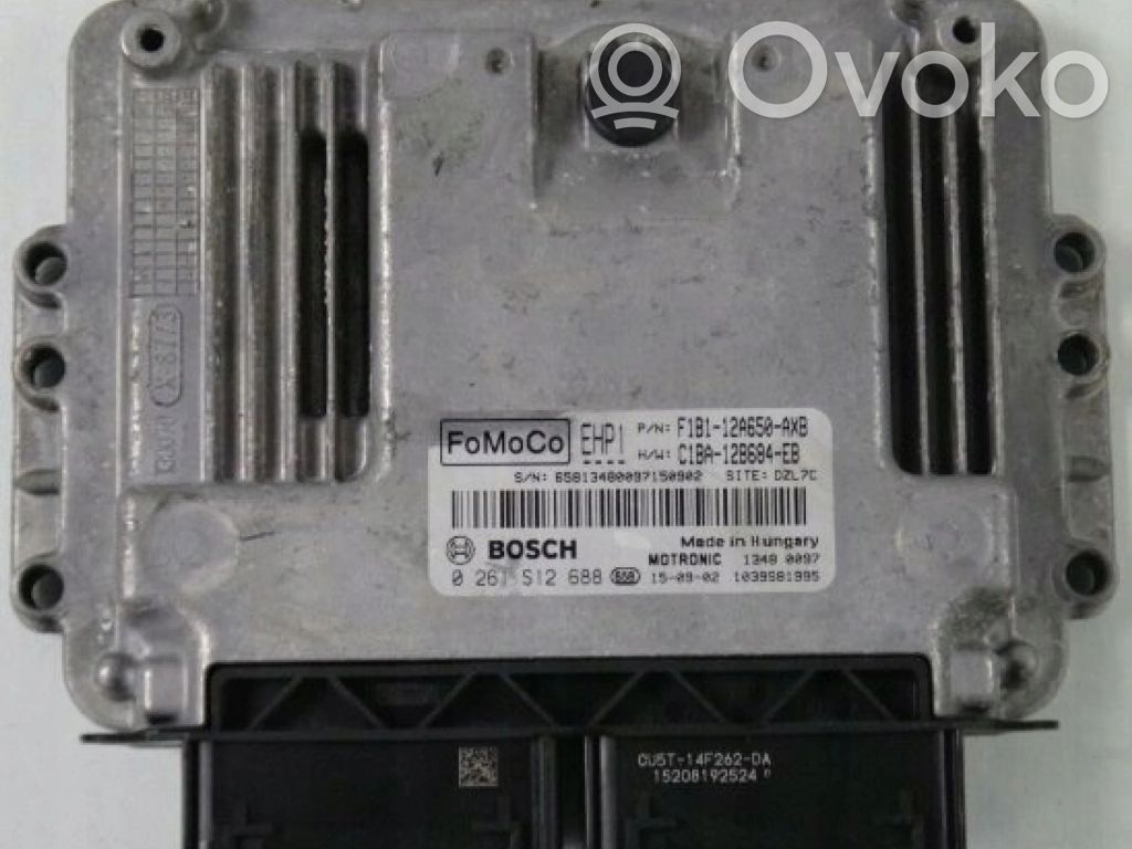Ford Fiesta Other control units/modules 