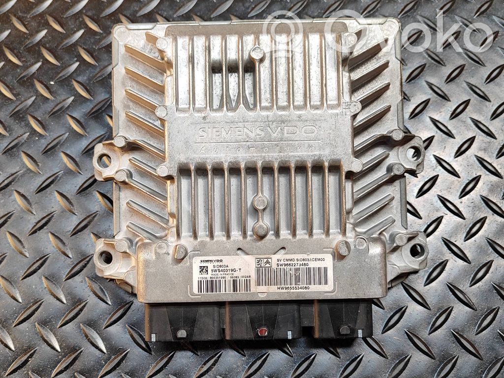 Engine control unit/module   9662273480,SW9662273480,5WS40319GT