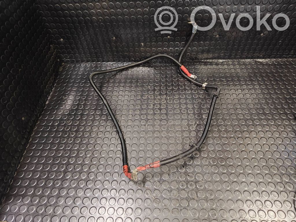 BMW 7 F01 F02 F03 F04 Pluskaapeli (akku) 