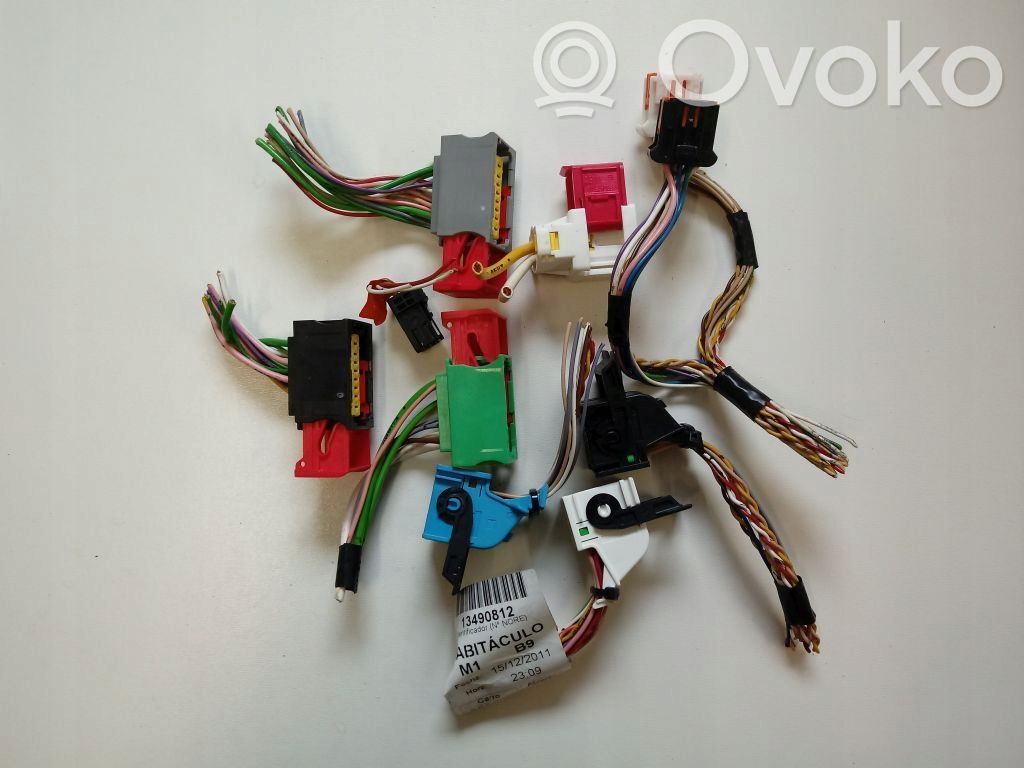 Citroen Berlingo Plug wire 