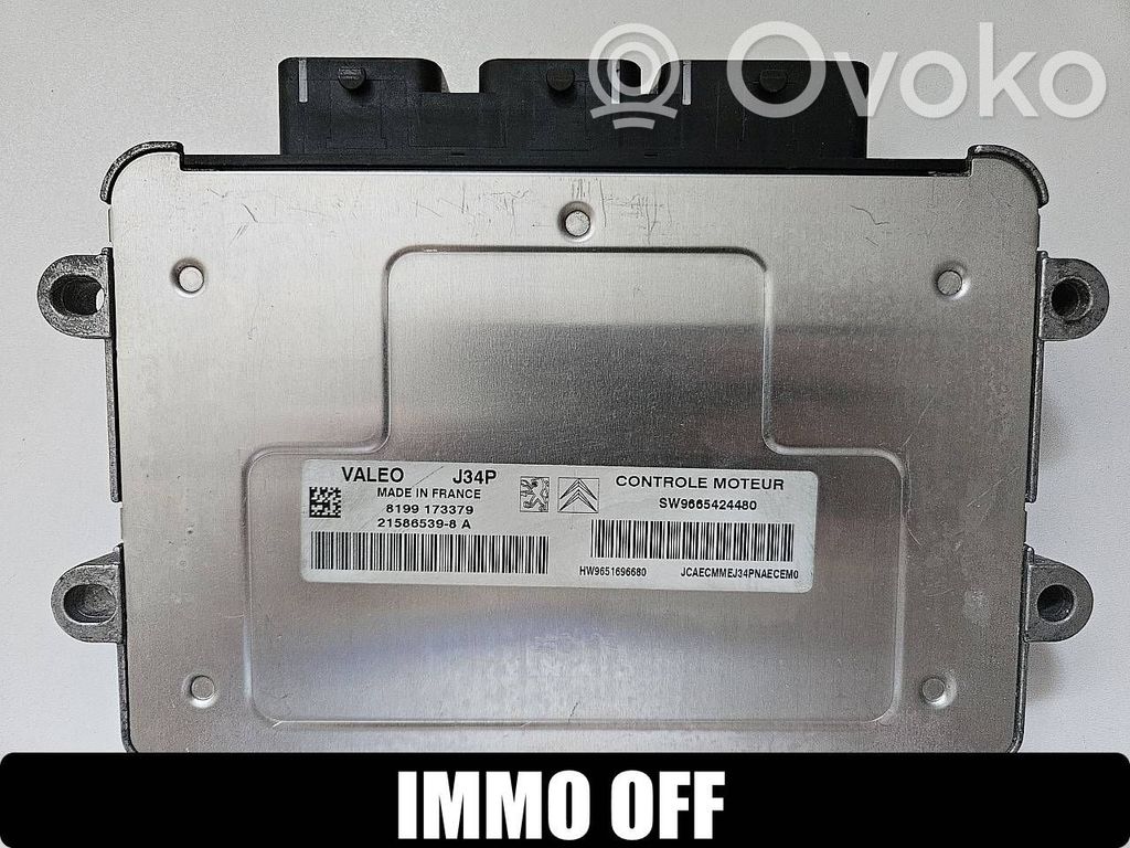 Engine control unit/module   9665424480,9651696680,215865398A,HW9651696680,J34P,SW9665424480