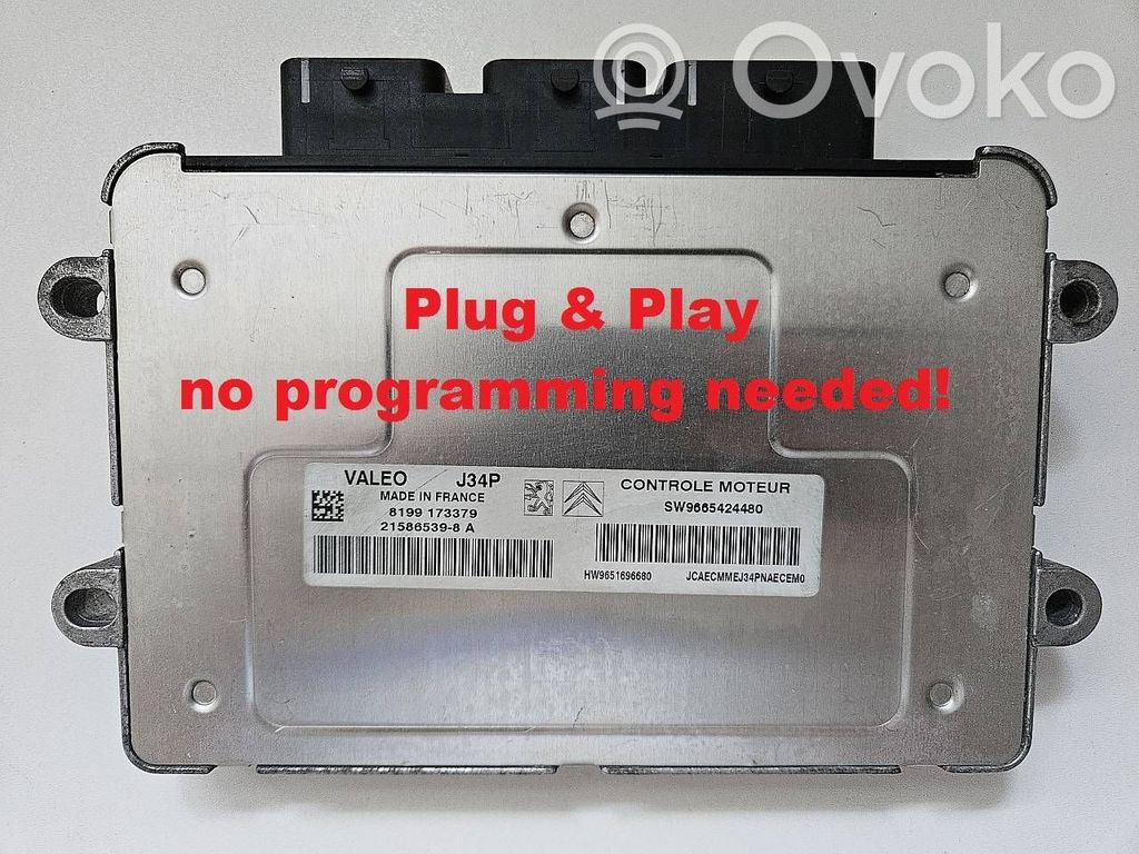 Peugeot 207 Engine control unit/module 
