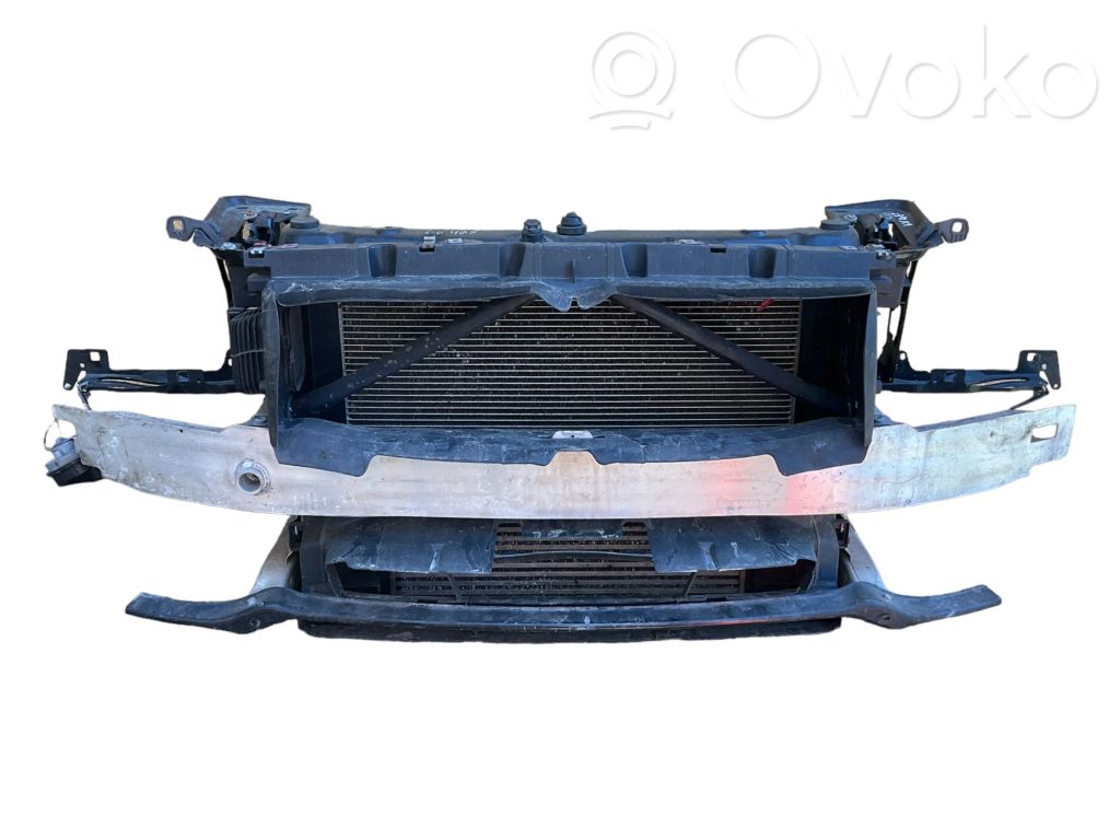 Radiatoru panelis   42512351
