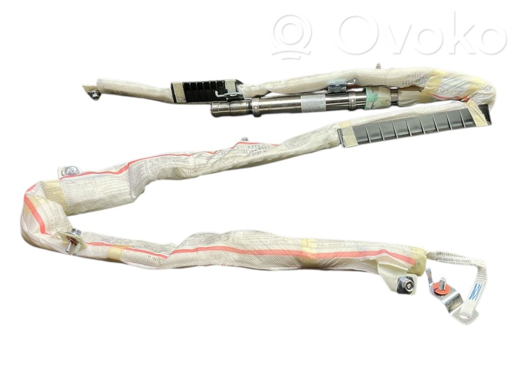 Airbag del techo   850201W300