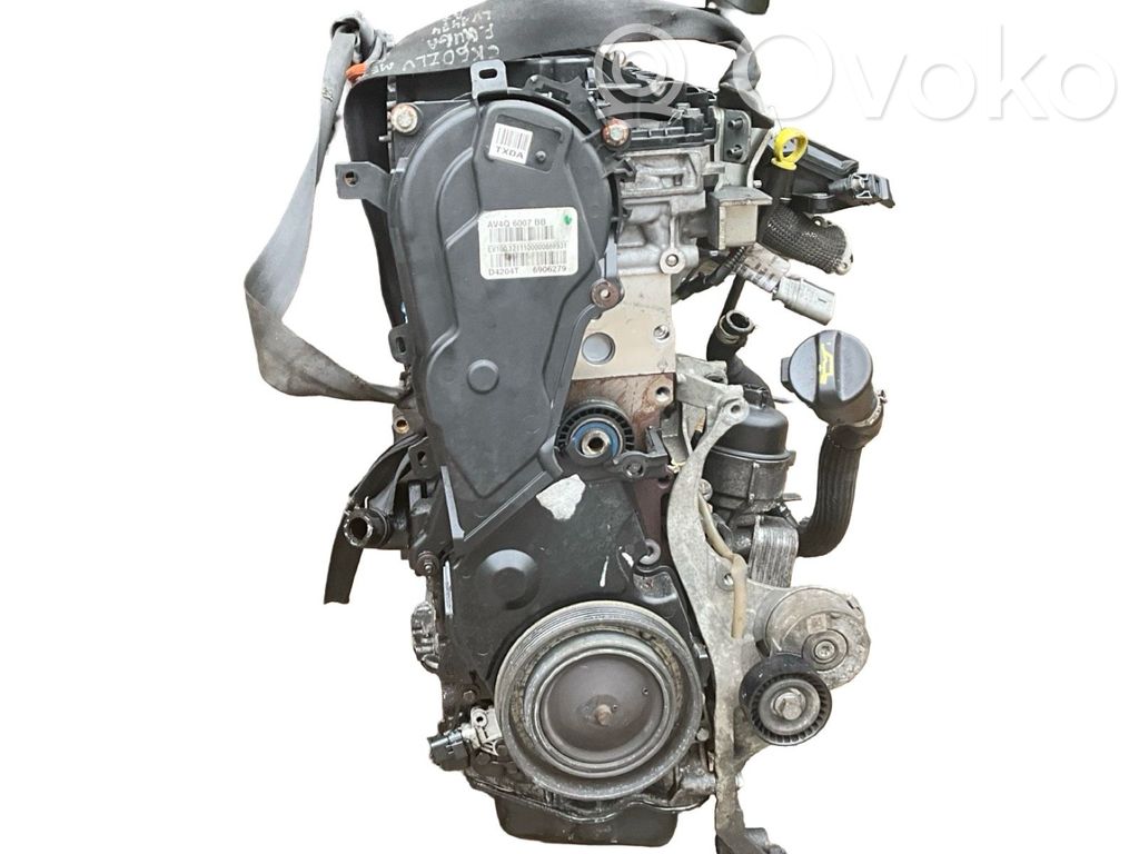 Variklis   AV4Q6007BB,6906279,D4204T,12111000000089,9688418110