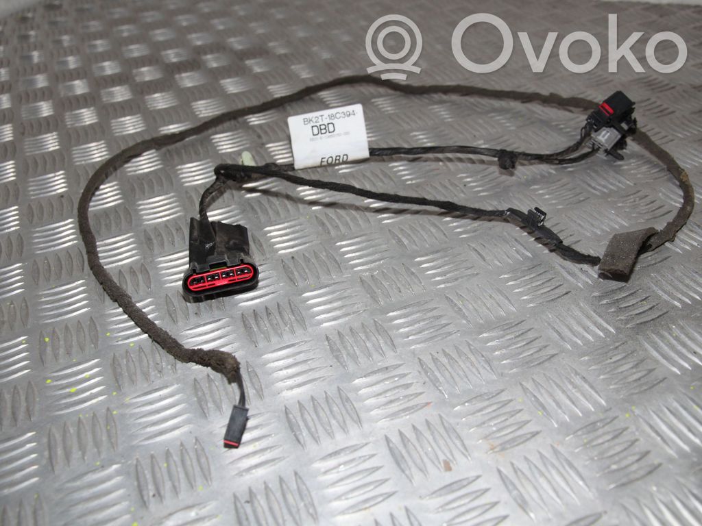 Cableado de puerta trasera   BK2T18C394DBD,BK2T18C394DBD