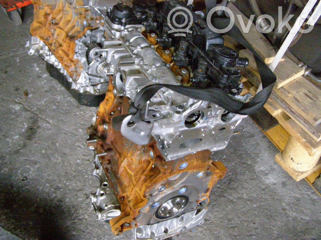 Engine   DW10