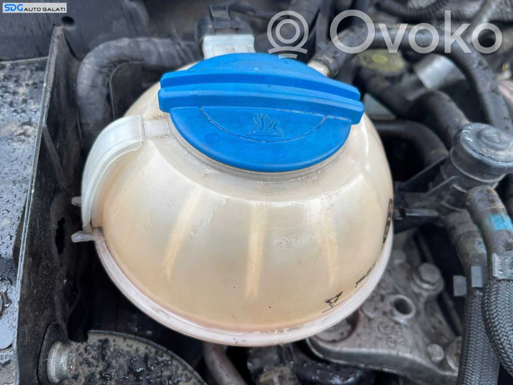 Skoda Roomster (5J) Vas expansiune/rezervor lichid de răcire 