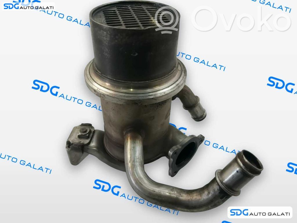 Volkswagen PASSAT B7 EGR dzesētājs 