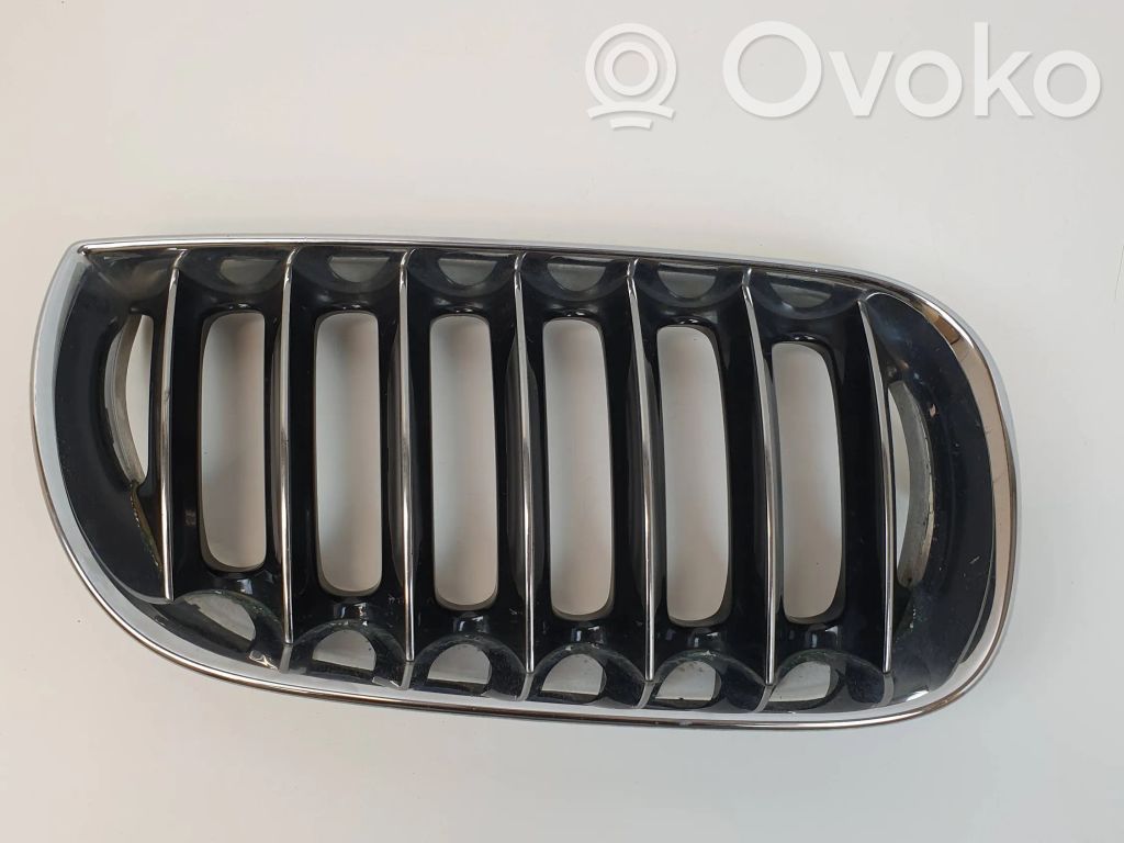 BMW X3 E83 Front grill 