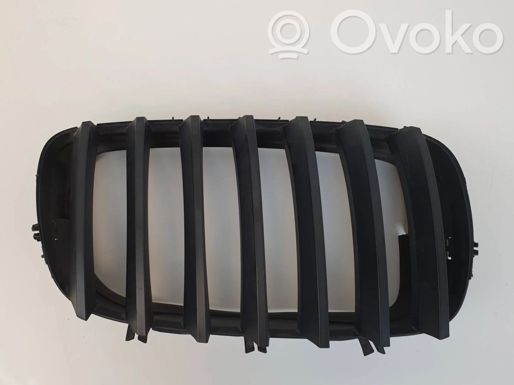 BMW X5 E70 Front grill 