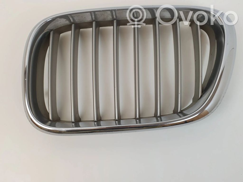 BMW X5 E53 Front bumper upper radiator grill 