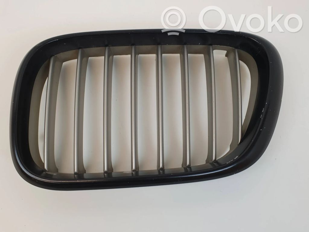 BMW X5 E53 Front bumper upper radiator grill 