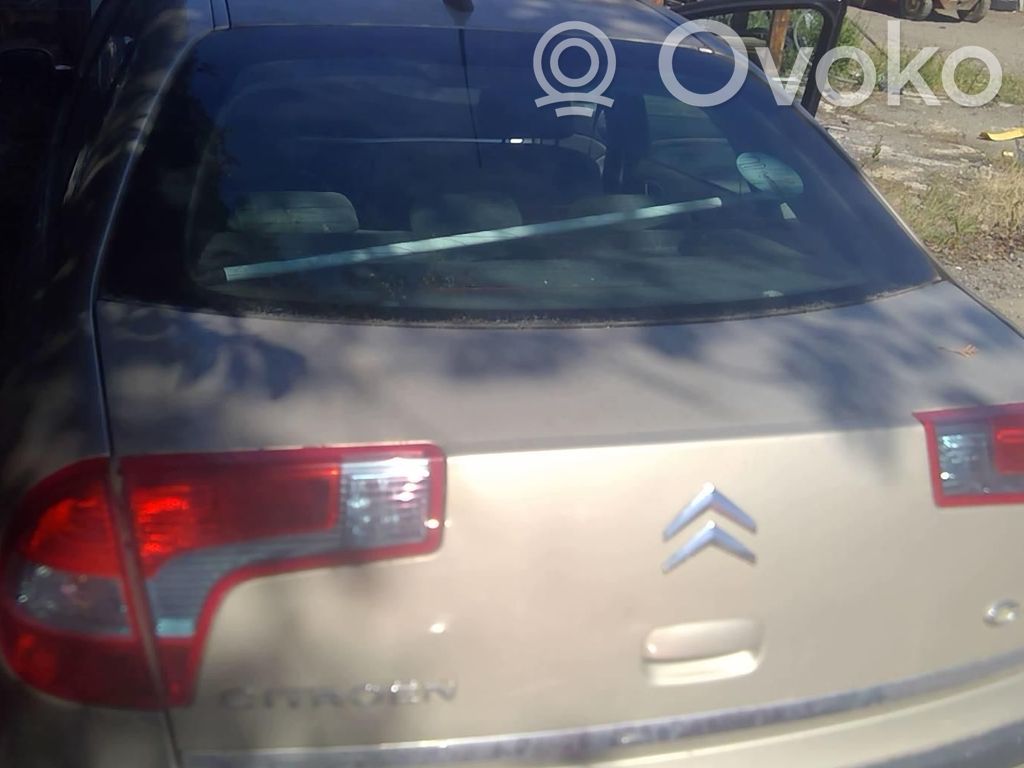 Citroen C5 Galinis dangtis (bagažinės) 