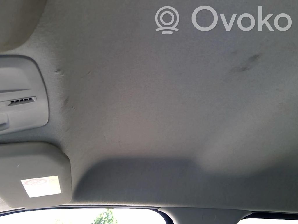 Citroen C4 Cactus Techo 