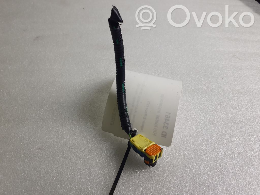 Other wiring loom   310717,2025421