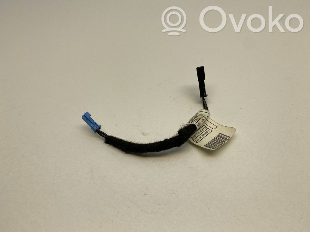 BMW X5 E70 Other wiring loom 
