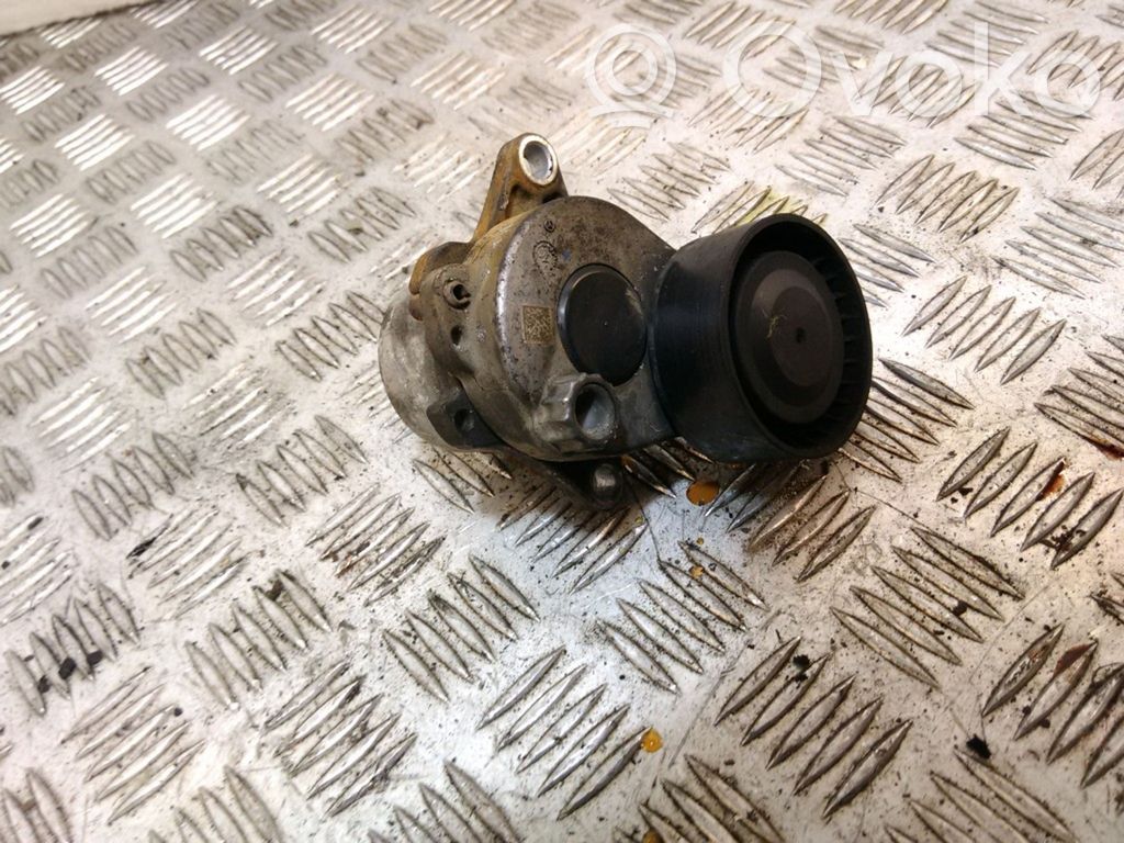 Napinacz paska alternatora   0086254