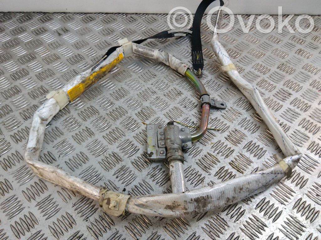 BMW X5 E53 Airbag del techo 