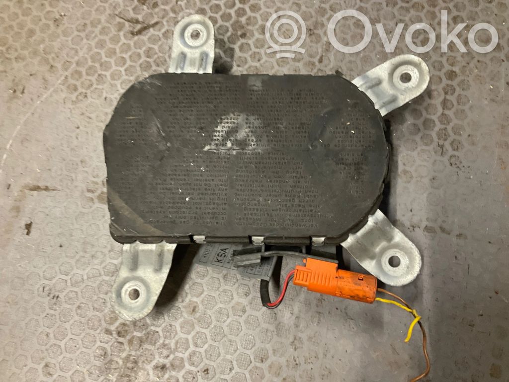 BMW 5 E39 Front door airbag 