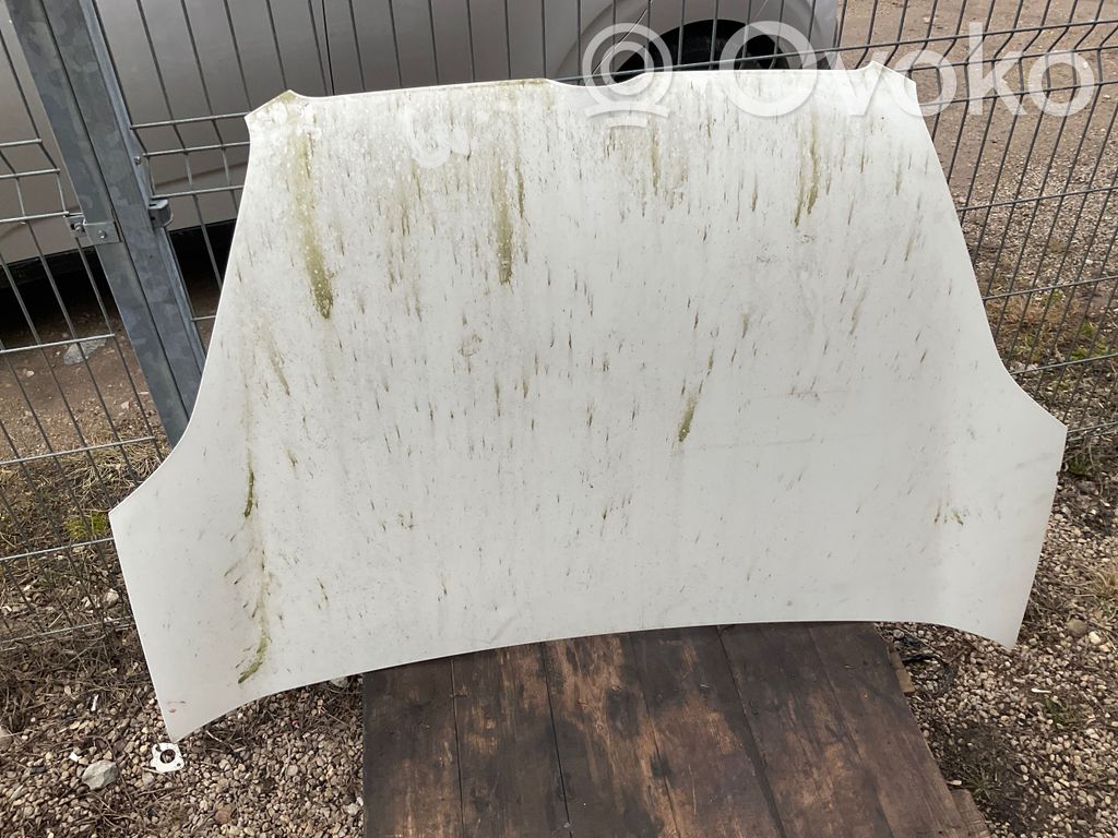 Engine bonnet/hood