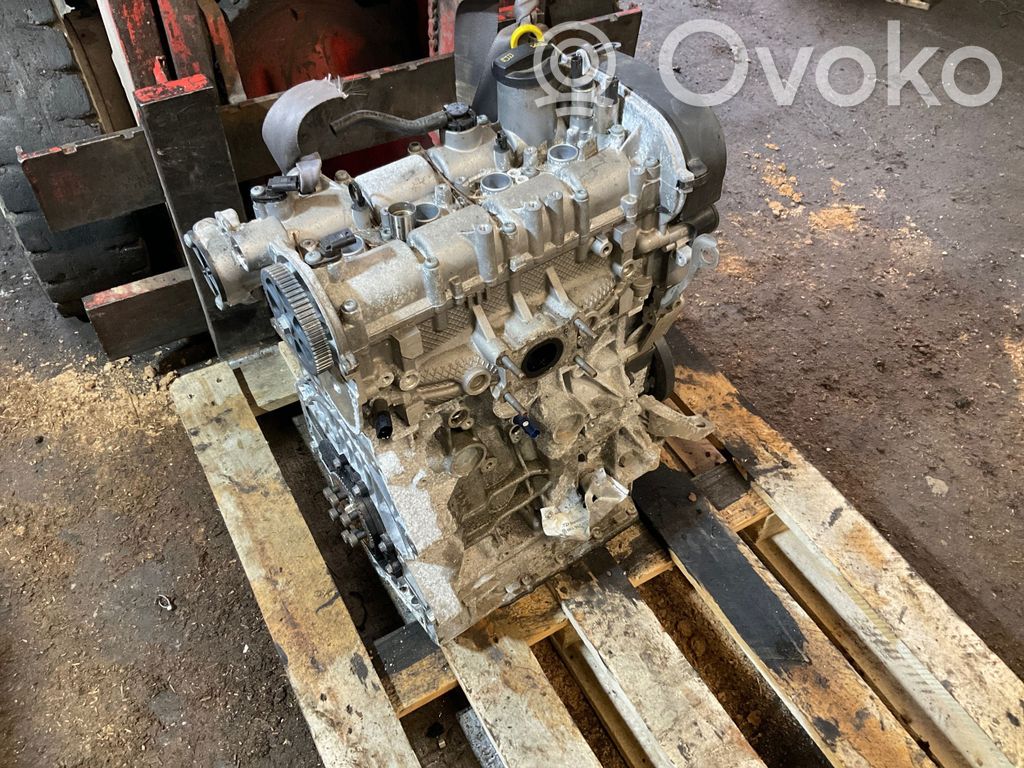 Engine   DGE