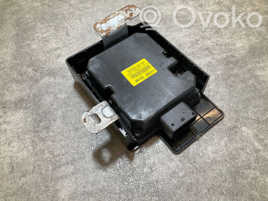 Other control units/modules   953003Z100