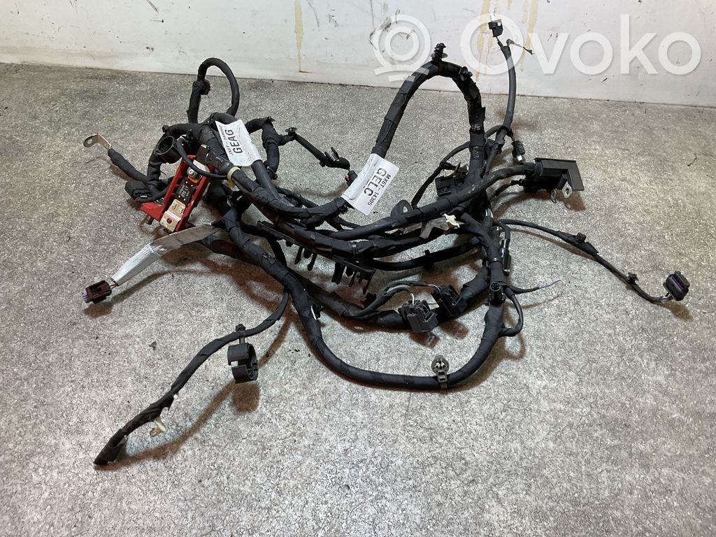 Otros cableados   JX6T14B060,MX6T14305,1404661900
