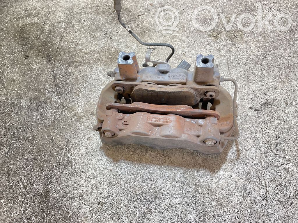 Takajarrusatula   9J1615424