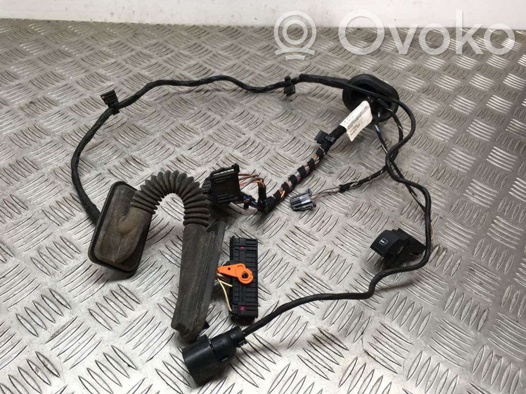 Volkswagen Tiguan Cableado de puerta trasera 