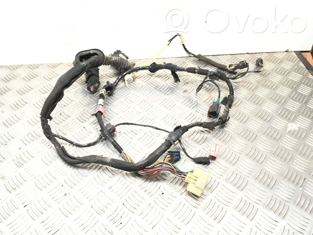 Cableado de puerta delantera   17778Q,237AC,04869237AC