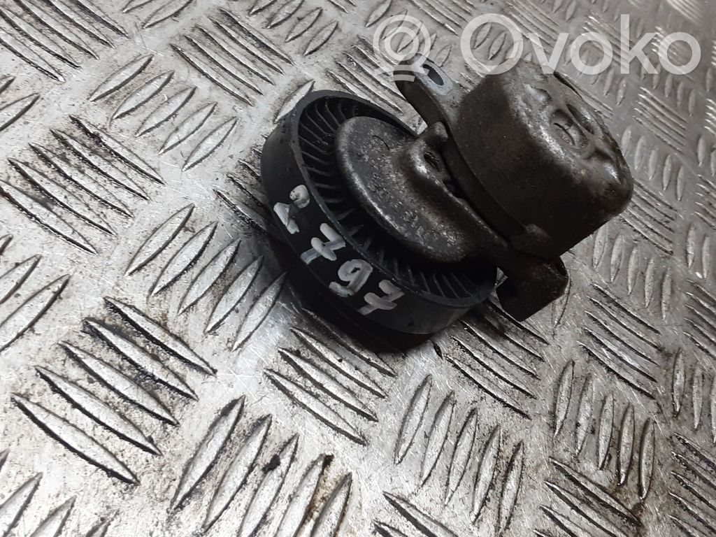 Land Rover Freelander Generatoriaus diržo įtempėjas 