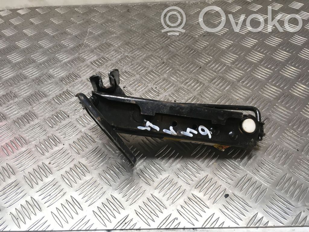 Ford Fiesta Gato 