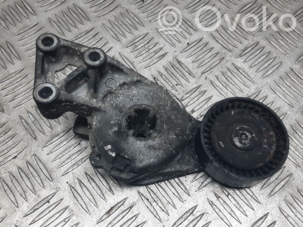 Volkswagen PASSAT B6 Napinacz paska alternatora 