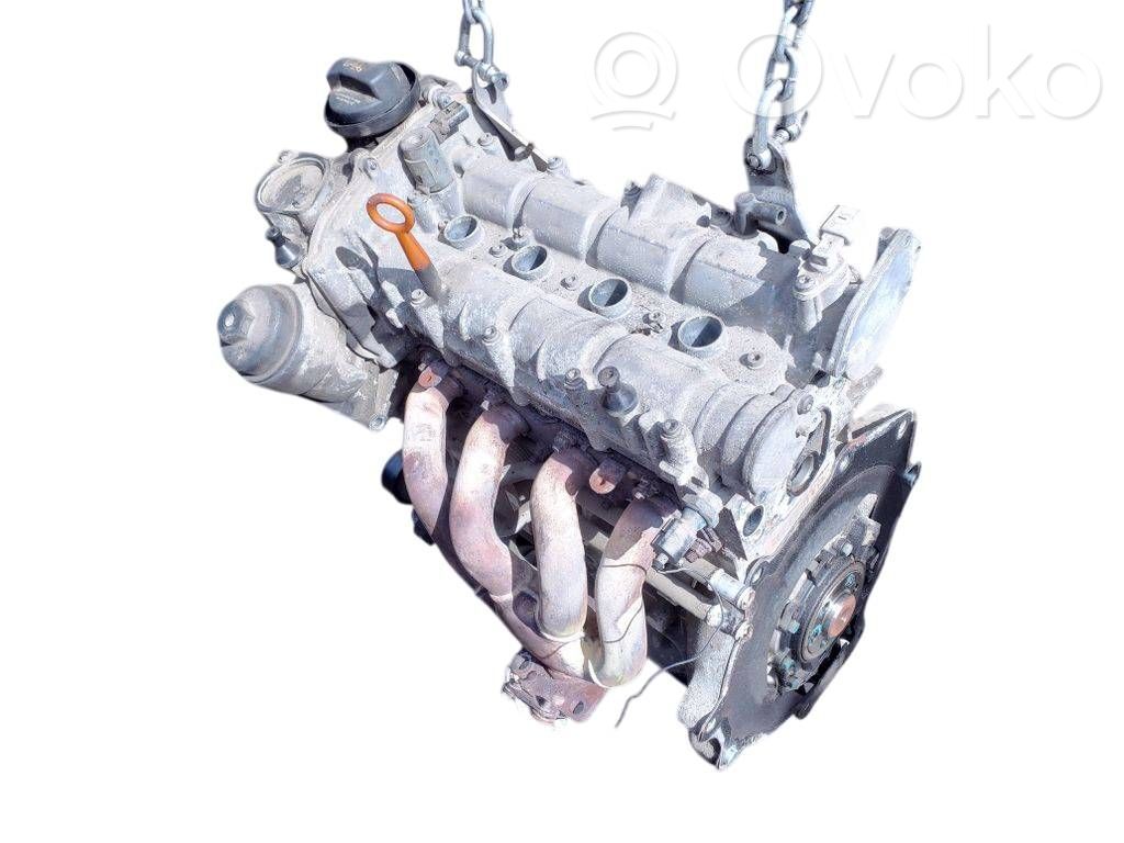 Skoda Octavia Mk2 (1Z) Engine 