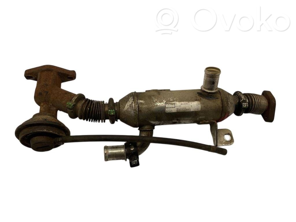 Peugeot 307 Valvola di raffreddamento EGR 