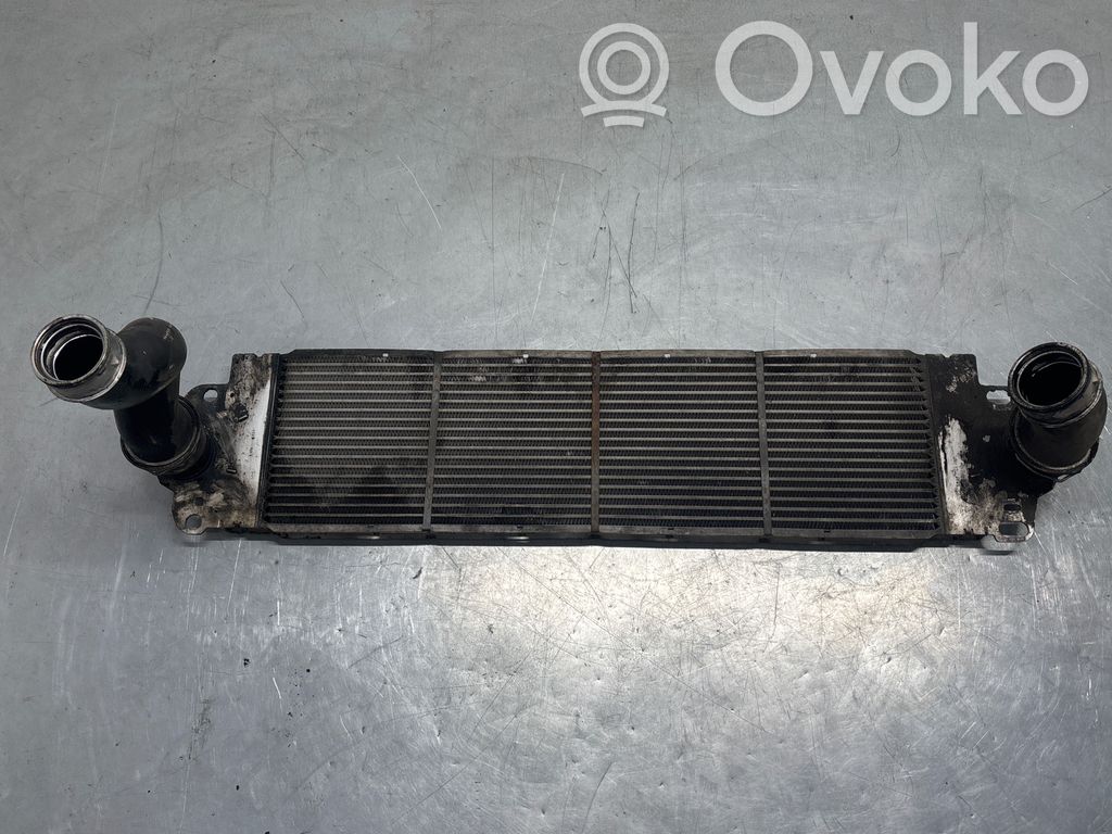 Volkswagen Transporter - Caravelle T5 Interkūlerio radiatorius 
