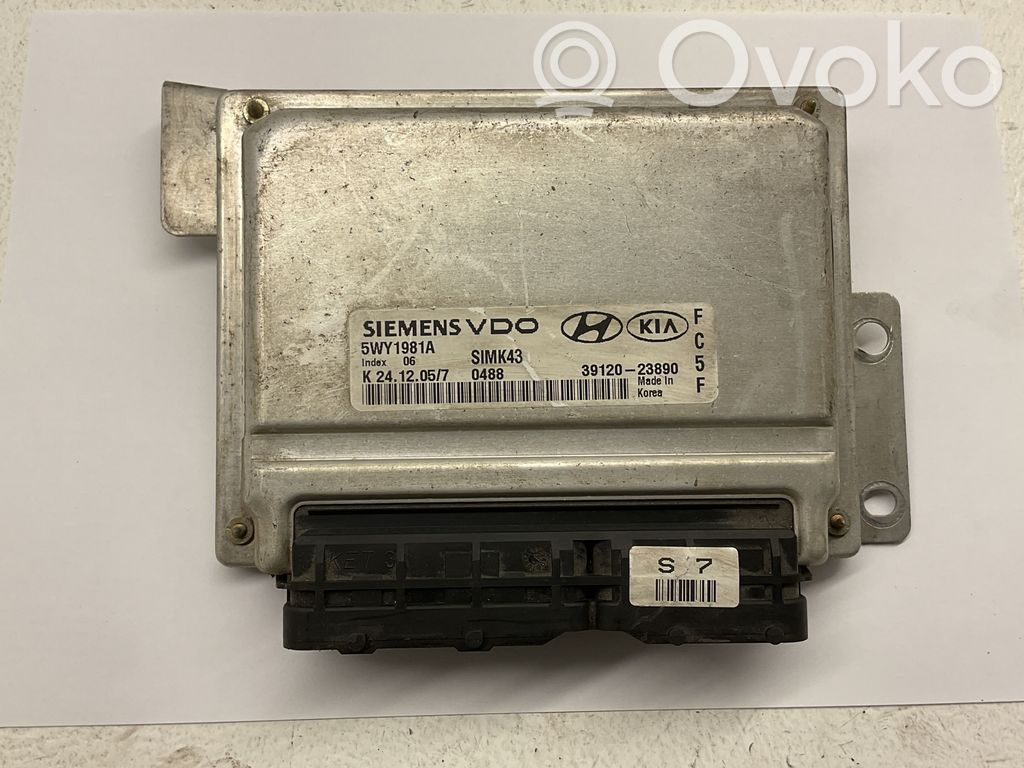 Engine control unit/module   3912023890,5WY1981A,K2412057