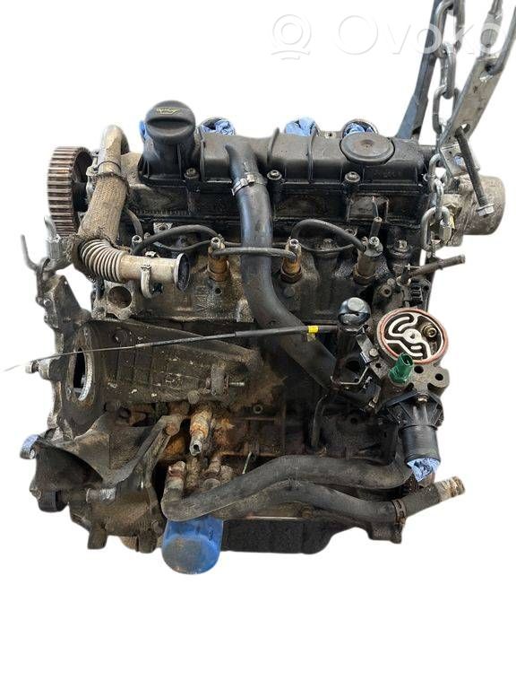 Variklis   DW8J