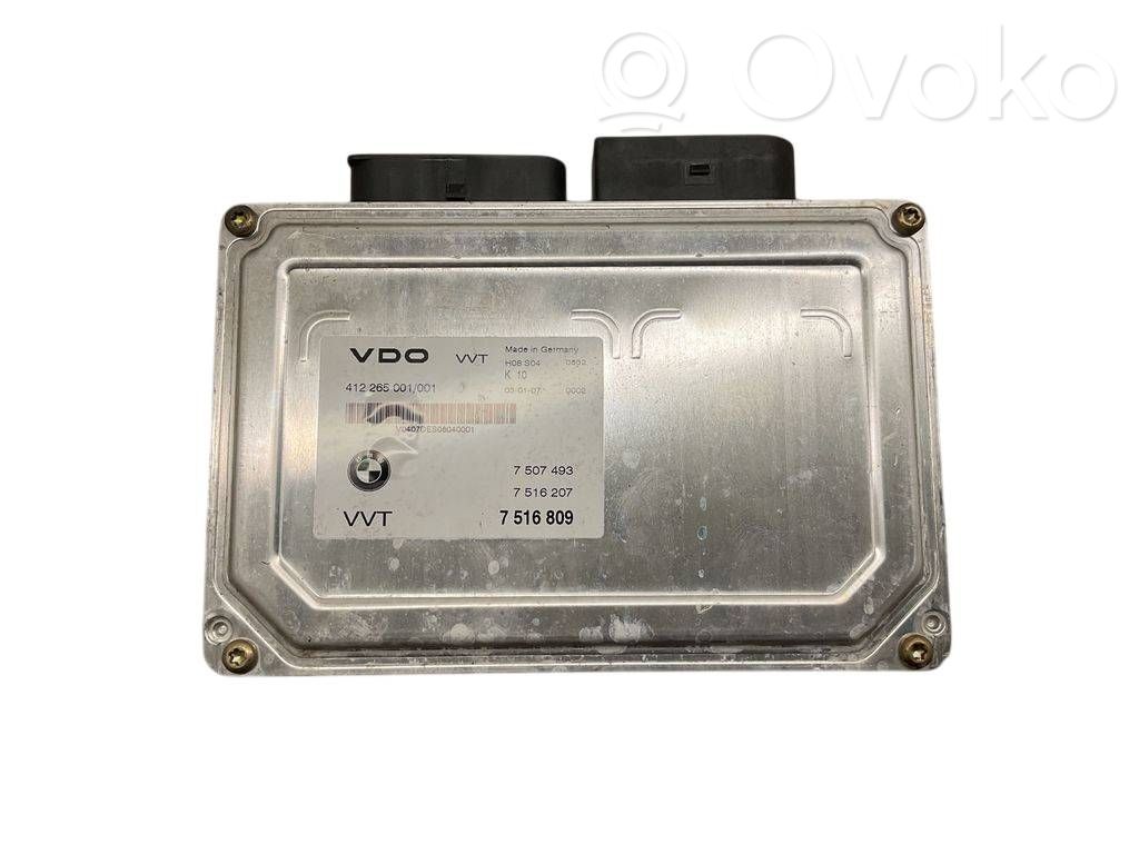 Engine control unit/module   7516809,7516207,7507493