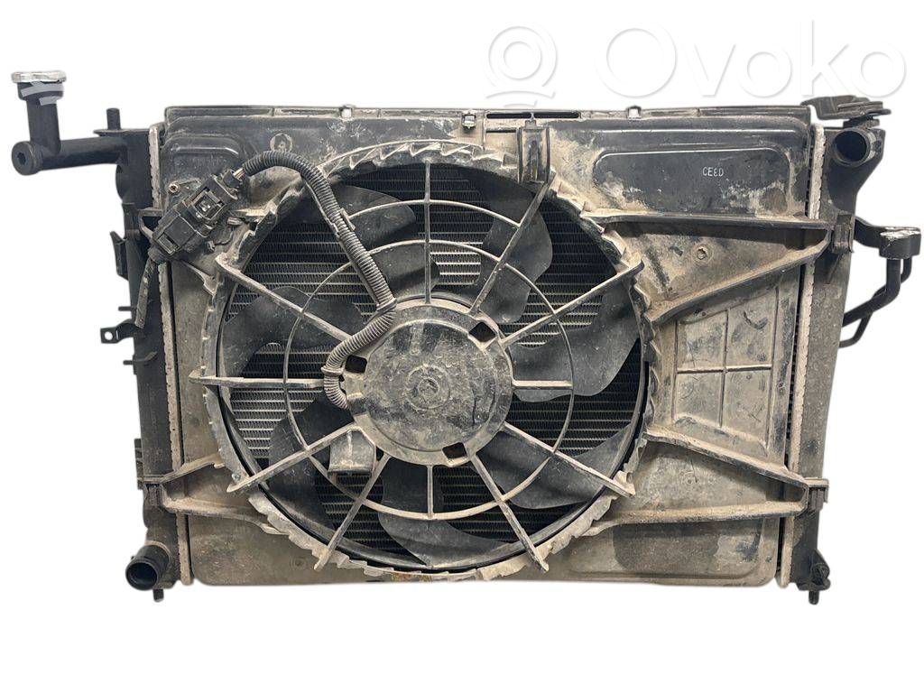 Radiatorių komplektas   D703017,TH037