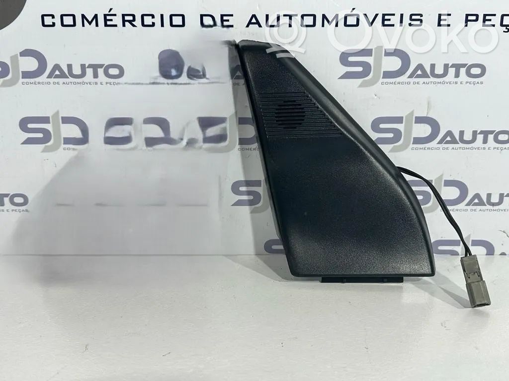 Panel speaker   3002775,4003879R