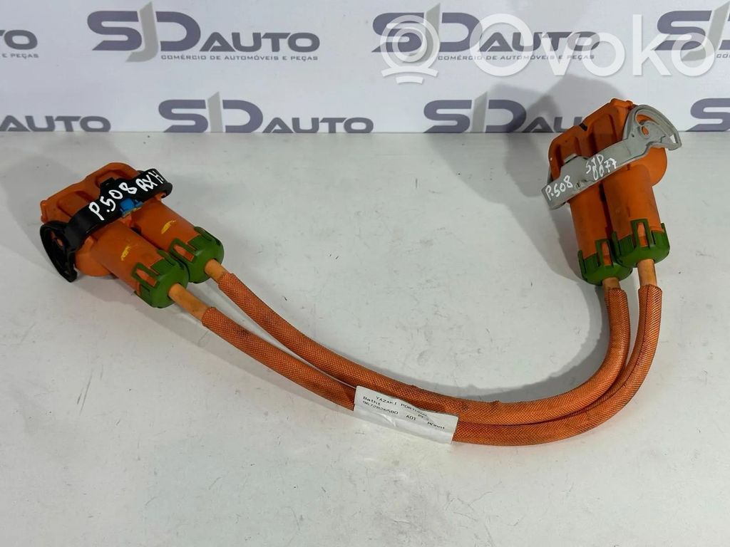 Peugeot 508 RXH Cableado de instalación del motor 