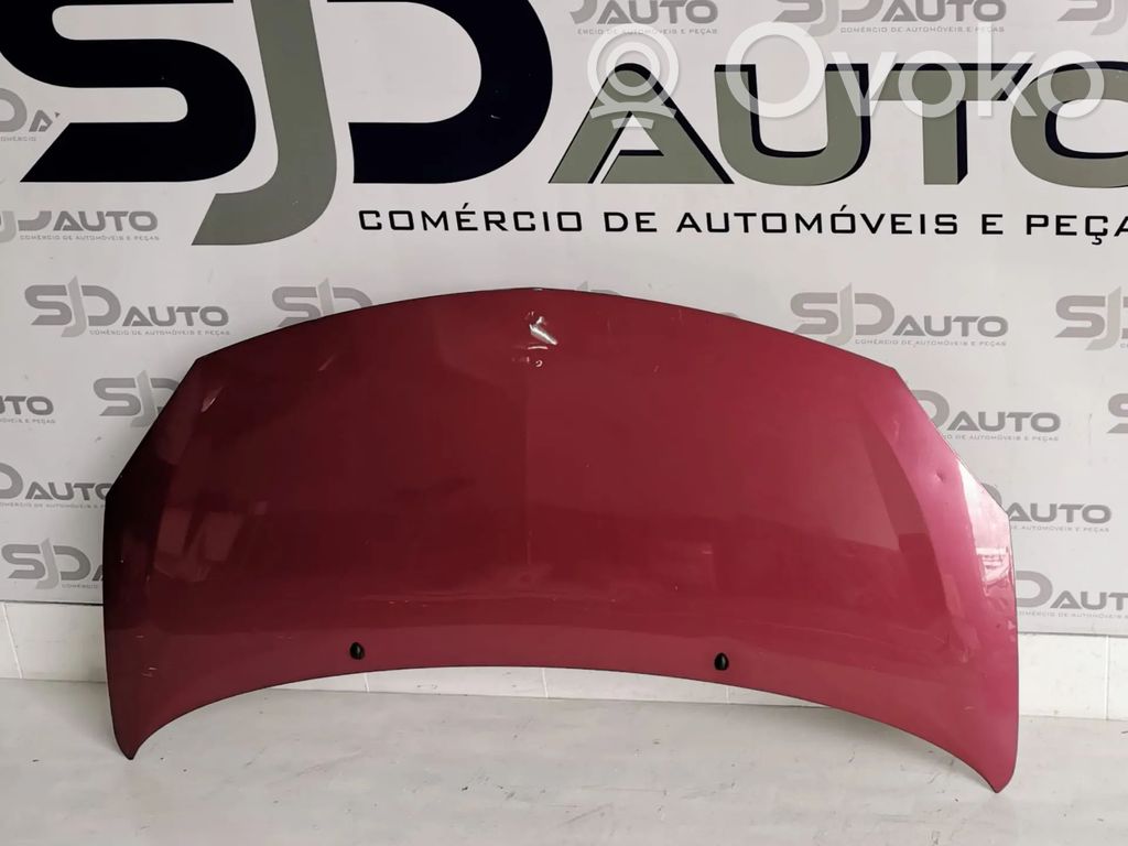 Motorhaube   978187769R