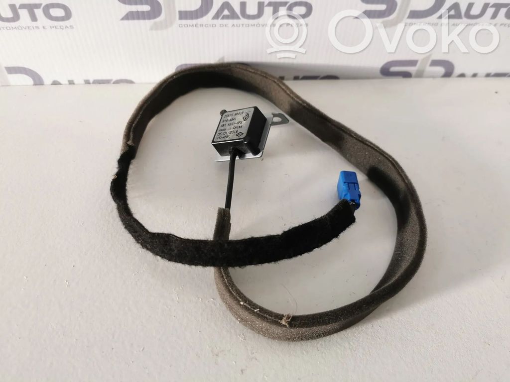 Amplificateur d'antenne   259759661R