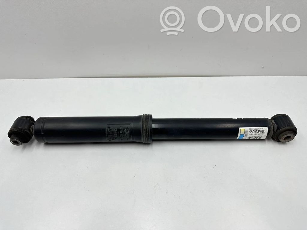 Stoßdämpfer hinten   9809739280,22270490