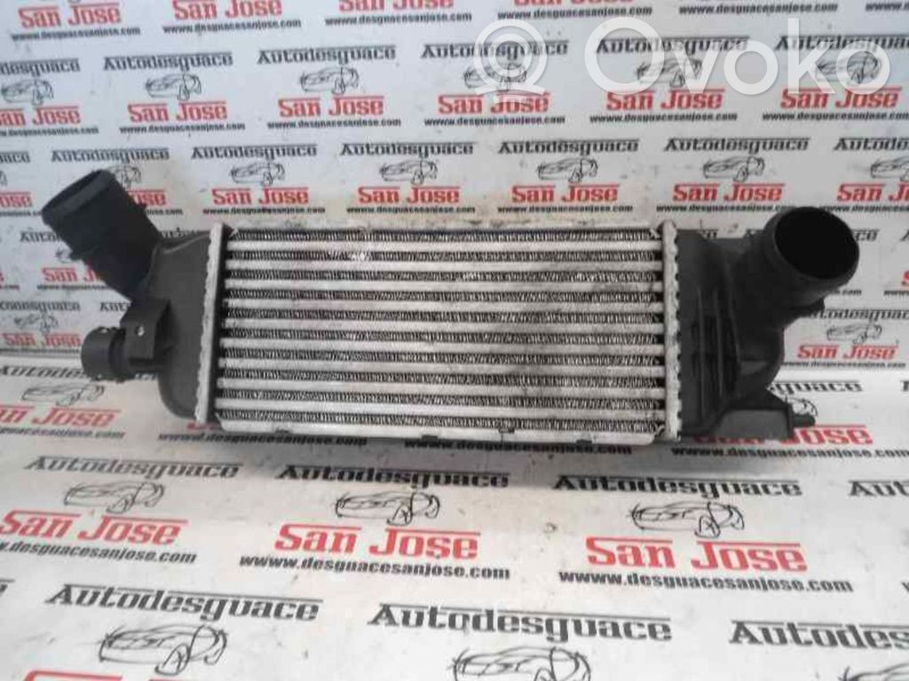 Intercooler radiator